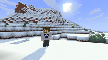 Alternative Custom Player Animations