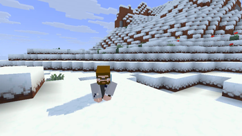 Alternative Custom Player Animations