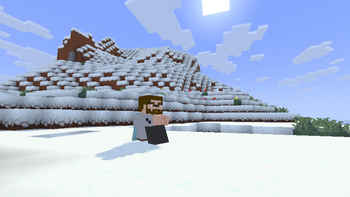 Alternative Custom Player Animations