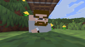 Alternative Custom Player Animations