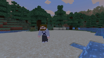 Alternative Custom Player Animations