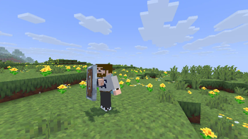 Alternative Custom Player Animations