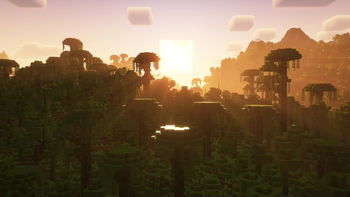 Ambience