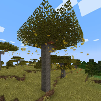 Ambient Leaves