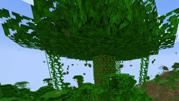 Ambient Leaves