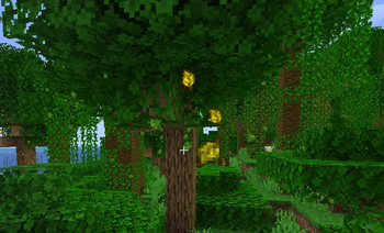 Ambient Leaves