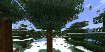 Ambient Leaves