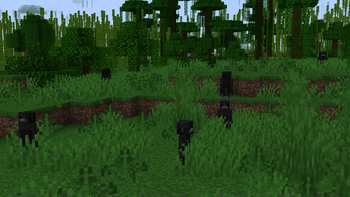 Ambient Additions