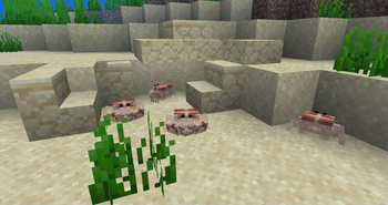 Ambient Additions