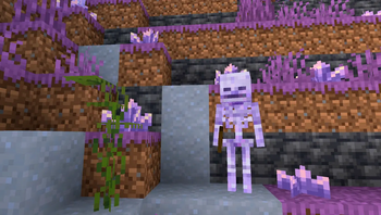 Amethyst Caves