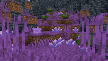 Amethyst Caves