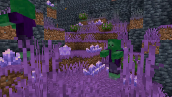 Amethyst Caves