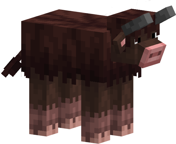 🐮Amoozing COWS🐄