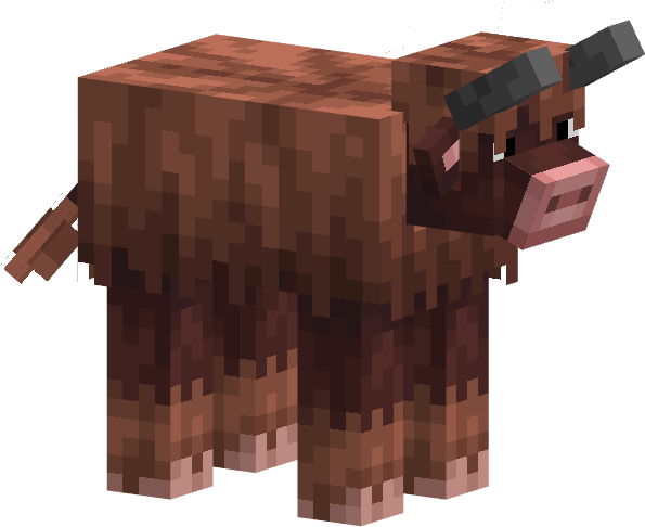 🐮Amoozing COWS🐄