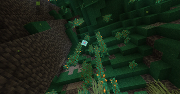 Ancient Moss