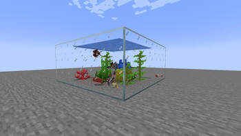 Angling Aquarium Port