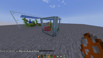 Angling Aquarium Port