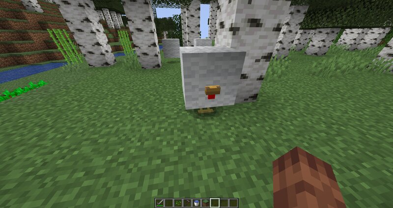 Angry Chickens