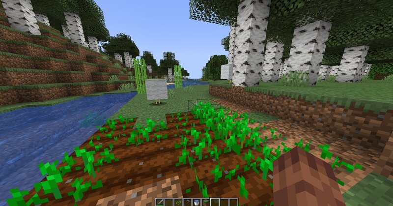 Angry Chickens