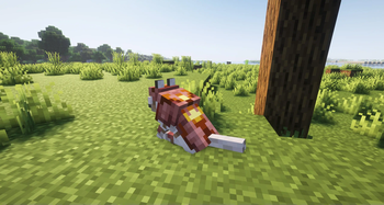 Animal Armor Trims - Horse & Wolf