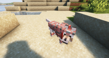 Animal Armor Trims - Horse & Wolf