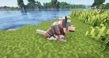 Animal Armor Trims - Horse & Wolf
