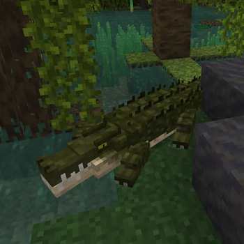 Animal Garden - Crocodile