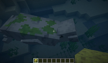 Animal Garden - Manatee
