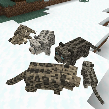 Animal Garden - Snow Leopard