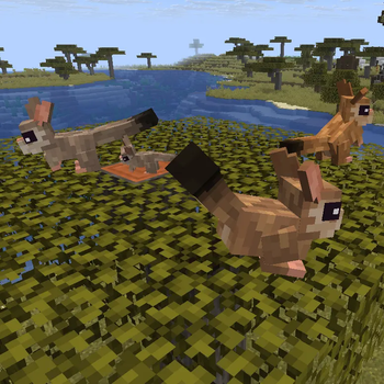 Animal Garden - Springhare