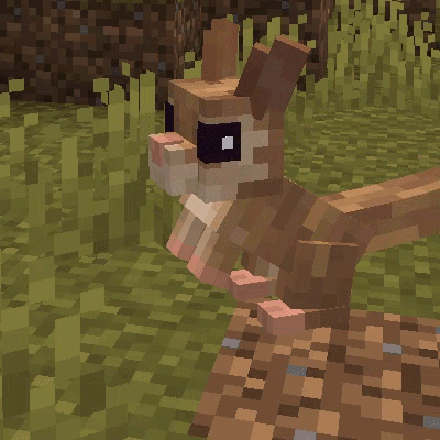 Animal Garden - Springhare