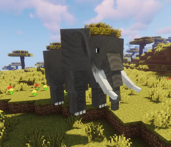Animals and Potions