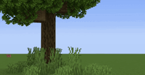 Animated Nature