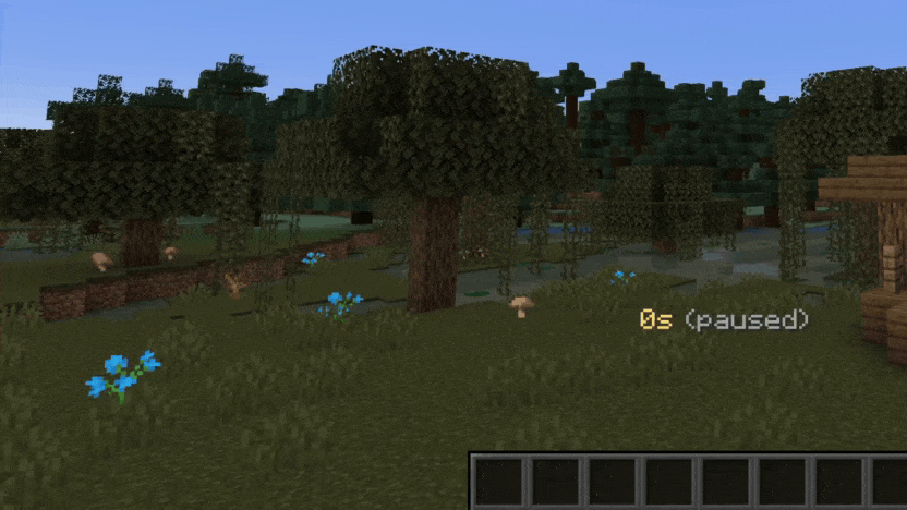 Animated Timer