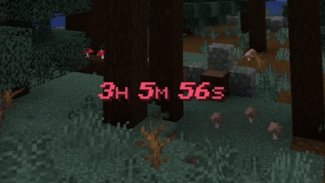 Animated Timer