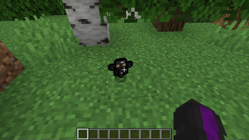 animated wither totem