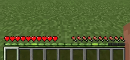 Animated XP Bar