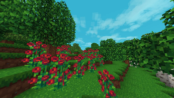 Animations+