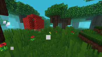 Animations+