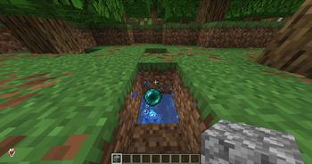 Anti Ender Pearl Stasis