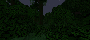 Anti Nightvision