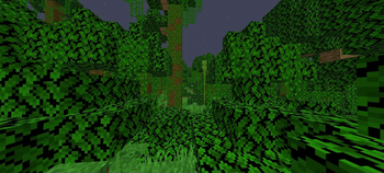 Anti Nightvision