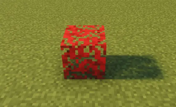 Apeiron