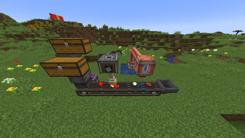Apple Skins
