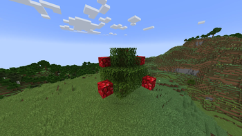 Apple Skins