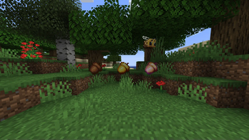 Apples2Acorns