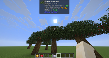 AppleTrees