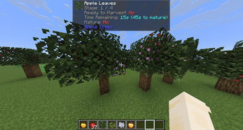 AppleTrees