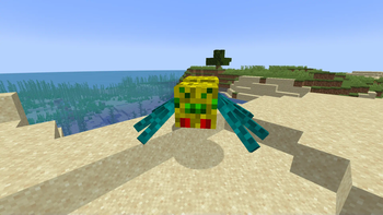 Arachnid Ascendency