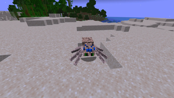 Arachnid Ascendency